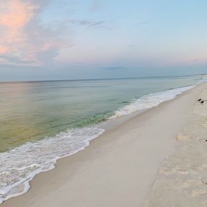 Meet your Posher, Sandi